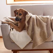 Soft Pet Blanket