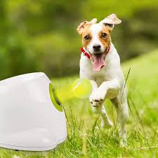 Automatic Dog Ball Launcher
