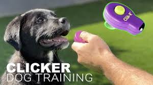 Dog Training Clicker (treat learning)