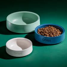 Pet Feeding Bowls