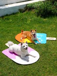 Pet Cooling Mat