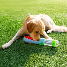 Dog Water-Bottle