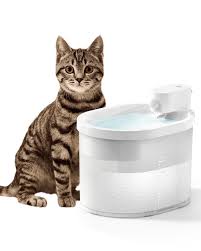Electronic Pet water fountain