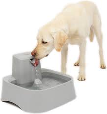 Electronic Pet water fountain