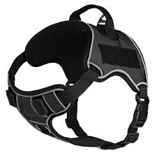 Adjustable Dog Harness