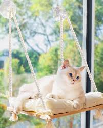 Hanging Cat Hammock