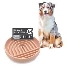 Pet Silicone Slow Feeder
