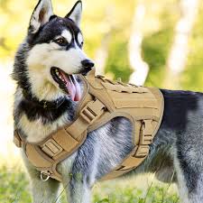 Adjustable Dog Harness