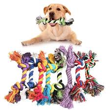 Dog knot Toy