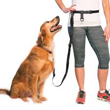 Hands Free Dog Leash