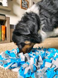 Dog Snuffle Mat