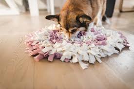 Dog Snuffle Mat