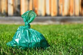 Biodegradable Poop Bag
