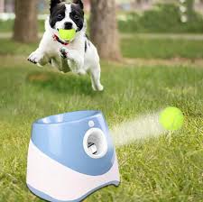Automatic Dog Ball Launcher