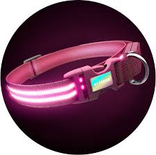 LED Dog Collar