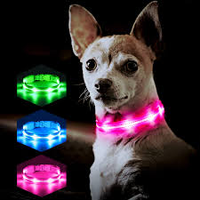 LED Dog Collar