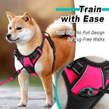 Adjustable Dog Harness