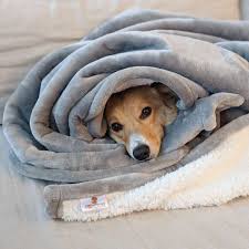 Soft Pet Blanket