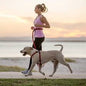Hands Free Dog Leash