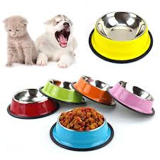 Pet Feeding Bowls