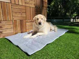 Pet Cooling Mat