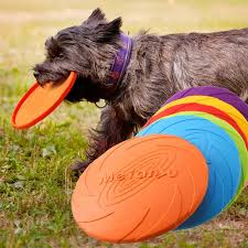 Dog Flying Disc