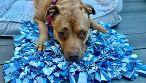 Dog Snuffle Mat