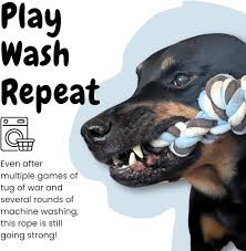 Dog knot Toy