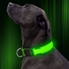 LED Dog Collar